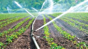 Micro Irrigation System